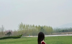 桃花社区视频在线观看免费完整版